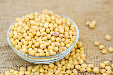 Soy bean in bowl with copy space.Close up soybean.beans dry in plate