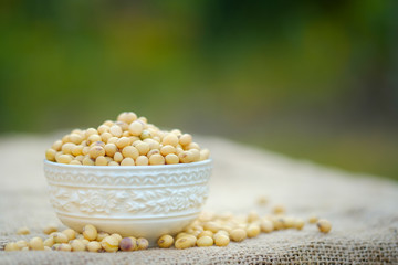 Soy bean in bowl with copy space.Close up soybean.beans dry in plate