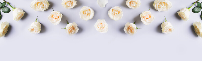 White roses frame flat lay on blue background.