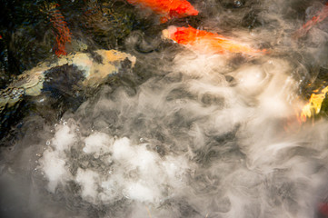 Close up beautiful smoke on the water in fancy carp fish pond background.