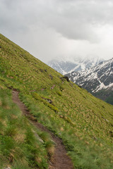 Naklejka na ściany i meble mountain trail among bright greenery in the Caucasus mountains in cloudy weather