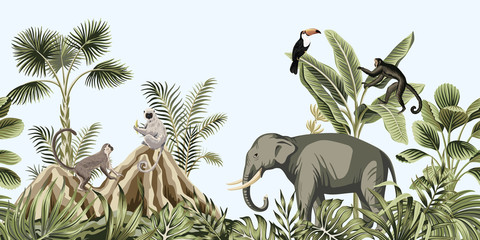 Paysage botanique vintage tropical, éléphant, singe, animal sauvage lémurien, oiseau toucan, montagne, palmier, bananier, plante floral fond bleu frontière transparente. Fond d& 39 écran exotique de la jungle verte.