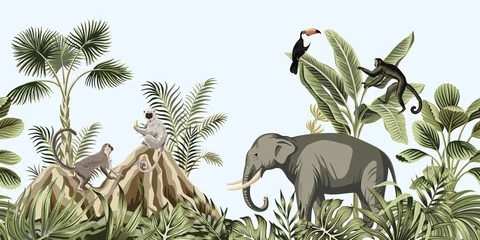 Acrylic prints Vintage botanical landscape Tropical vintage botanical landscape, elephant, monkey, lemur wild animal, toucan bird, mountain, palm tree, banana tree, plant floral seamless border blue background. Exotic green jungle wallpaper.