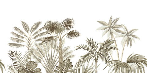 Tropical vintage beige botanical landscape, palm tree, banana tree, plant floral seamless border white background. Exotic green jungle wallpaper. - 315000072
