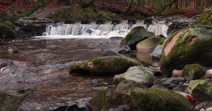Scenic 4K video of Tollymore forest mountain stream and surroundings, Tollymore Forest park, Northern Ireland