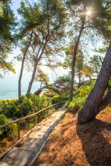 Amazing scenic stairs in beautiful sunny morning forest. Soft sunlight bursting through foliage of green trees. Blurry blue sea water in background. Greece. Vertcial color photography.