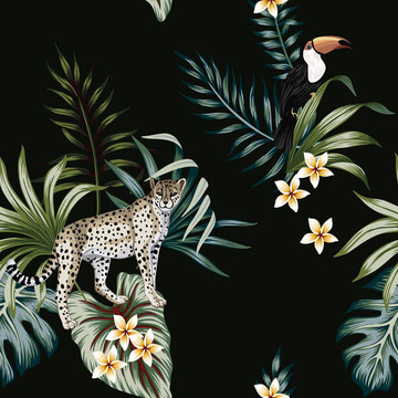 Tropical vintage wild animal leopard, toucan floral palm leaves seamless pattern black background. Exotic jungle wallpaper. © good_mood