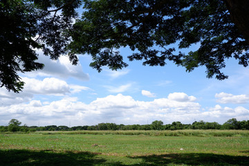plains of Laguna Philippines