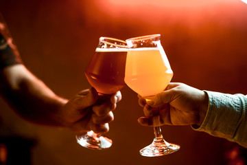 Cheers. Close up cropped of woman and man two hands horizontal holding lager beer glasses