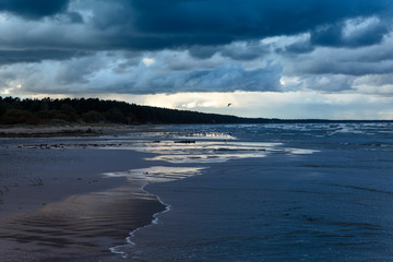 Windy day by Baltic sea.