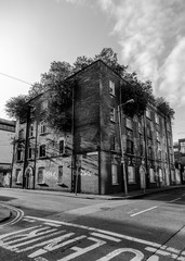 Overgrown Abandoned Building Dublin, Ireland