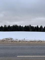Одинцовский район деревня Локотя (Лес)