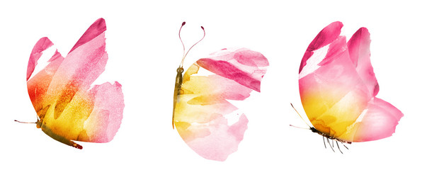 Three watercolor butterflies, isolated on white background