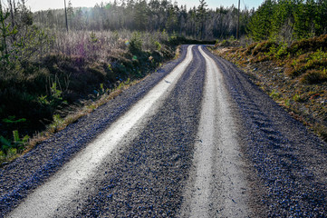 straight gravel road through swedish forest in Varmland
