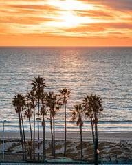 Los Angeles sunset