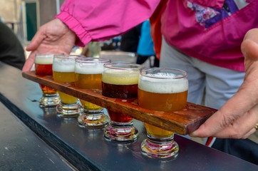 Craft beer tasting: five glasses with beers of different colors and flavors. A wooden cup holder holds the glasses in a row. Two Caucasian woman's hands hold him up.