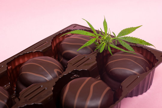 Chocolate cannabis Cookies with THC and CBD extract. cookies with marijuana on pink background