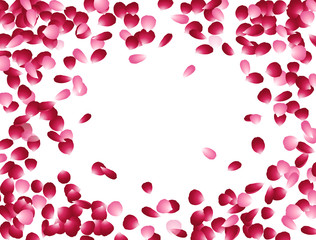 Pink rose petals isolated on white background. Nature flying red flower elements pattern for romantic wedding invitation design.