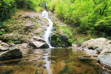 waterfall in the forest