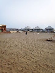 White ducks in desert