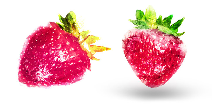 Two watercolor strawberries on white