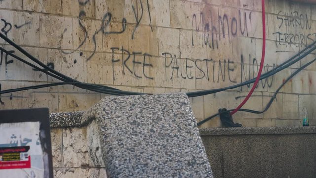 A symbolic dove flies away in from of a wall which reads Free Palestine, inside the West Bank of Palestine under occupation by Israel.