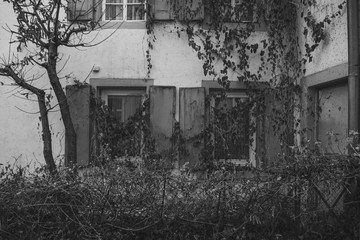 old house facade with overgrown windows and folding shutters