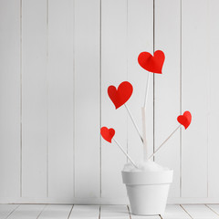 Heart haped flowers in white pot