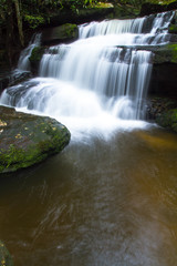 Fototapeta premium waterfall in forest