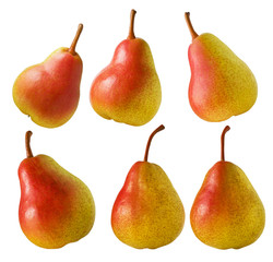 Pear fruit isolated. Set of red yellow ripe juicy whole pears isolated on white background