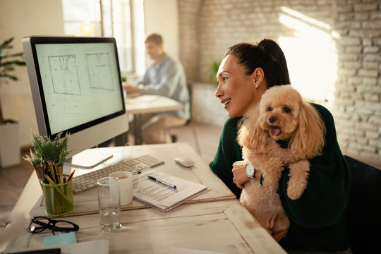 Happy Asian businesswoman working on a computer while holding her dog in the office.