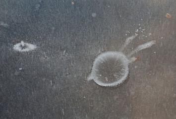 Water on ice melts it and forms various patterns on the ice surface