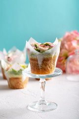 Flower cupcake on white blue background. Beautiful sponge cup cakes decorated with buttercream roses.