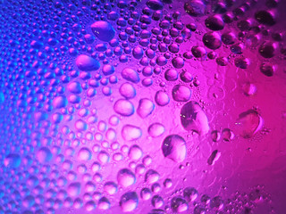 blue and pink water drop color gradation, abstract dew background