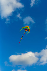 kite in the sky