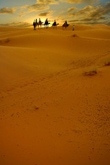 Fototapeta na wymiar sand dune in the sahara desert 