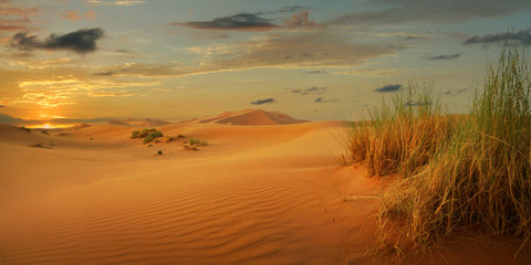 sunset on sand dune in the sahara desert 