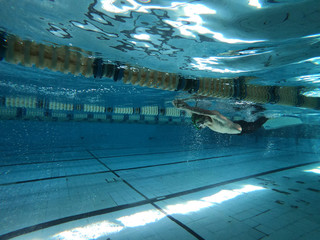Young swimmer training inside the swimming pool