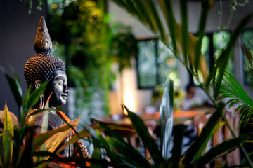 buddha statue in interior garden at tropical bar in thailand