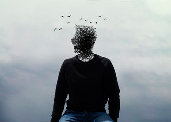 A man in a black sweatshirt and jeans with flying birds instead of his head sits against a gray sky.