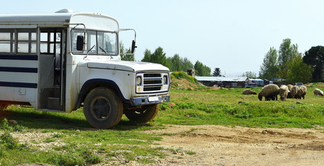 Alter, weißer Schulbus in der Bekaa-Ebene