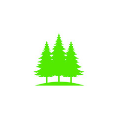 Winter vector concept. Green spruce illustration. Graphic design for holidays.