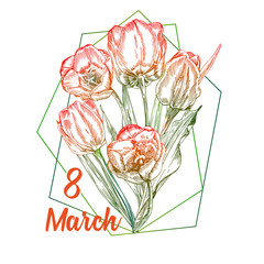 Spring flower bouquet of tulips in red and green colors on white background. Line engraving drawing style. Realistic botanical nature floral sketch pattern for wedding greeting art decoration design.