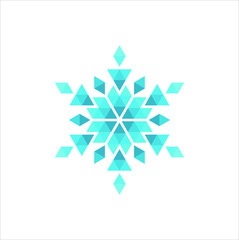 Snowflake winter vector graphic logo