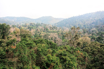 Fototapeta na wymiar Thailand summer forest with mountains