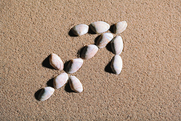 Fototapeta na wymiar Sagittarius Zodiac sign made of seashells on sand background
