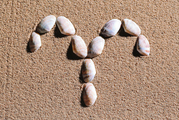Fototapeta na wymiar Aries Zodiac sign made of seashells on sand background