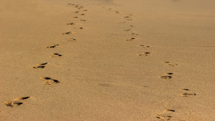 two pairs of footprints walking on sand