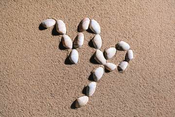 Fototapeta na wymiar Capricorn Zodiac sign made of seashells on sand background