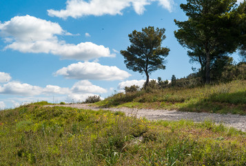 Obraz premium landscape